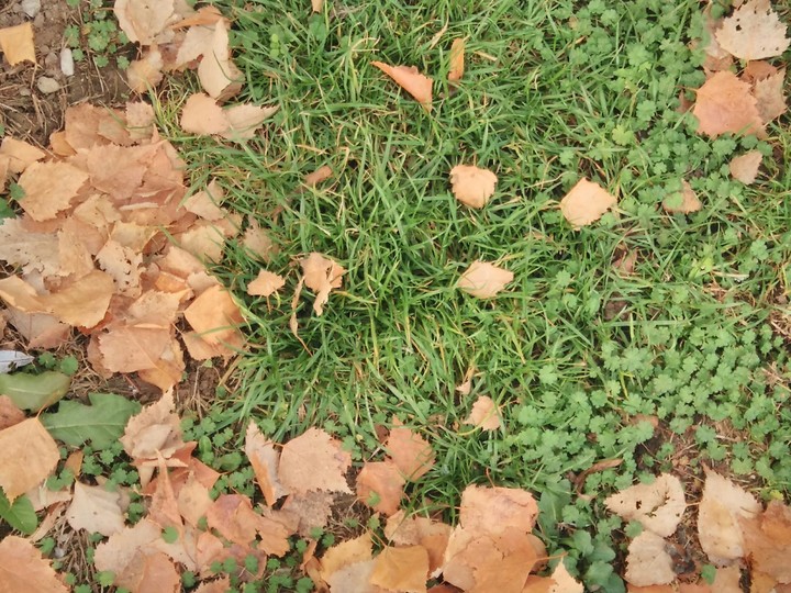Autumn