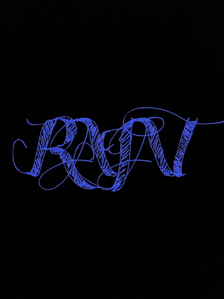 Rajat (art)