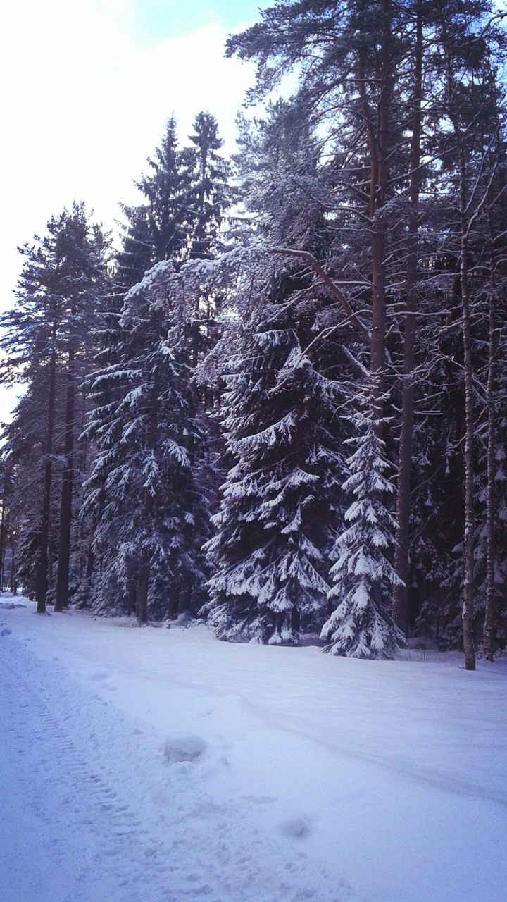 лагерь зеркальный