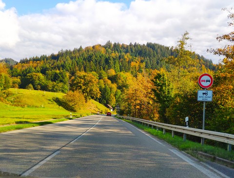 Schwarzwald ♥️
