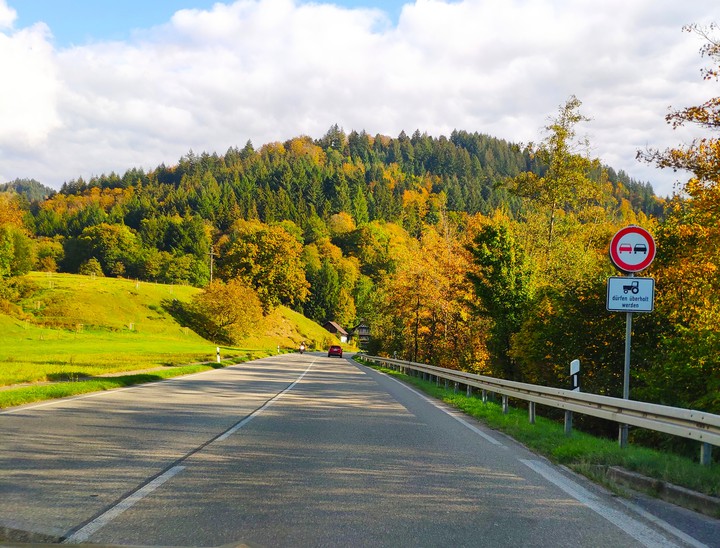 Schwarzwald ♥️