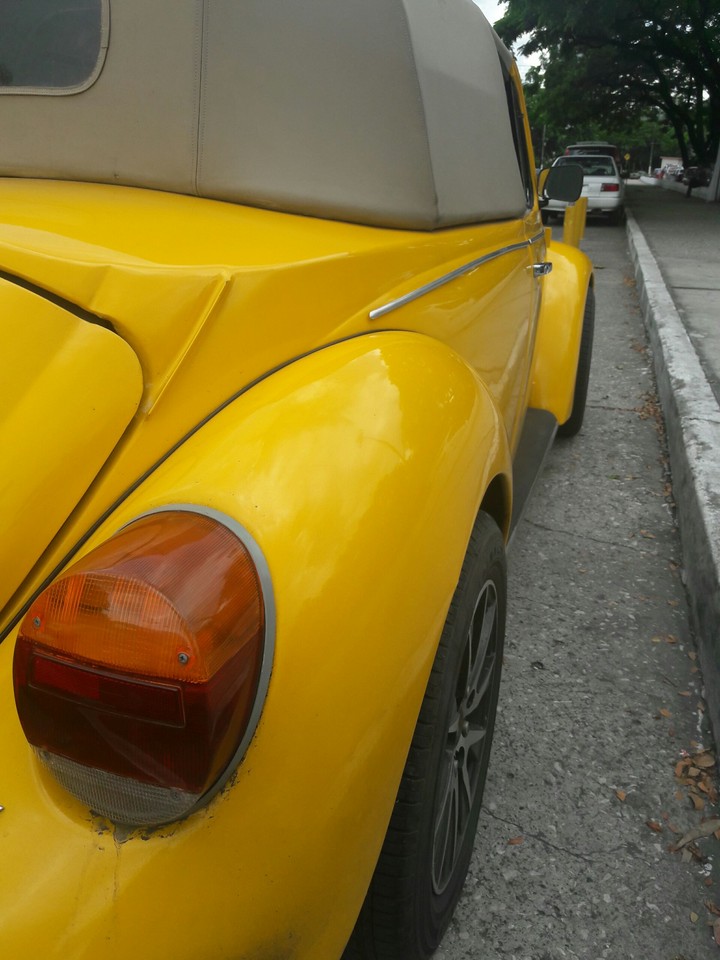 Volkswagen Bocho