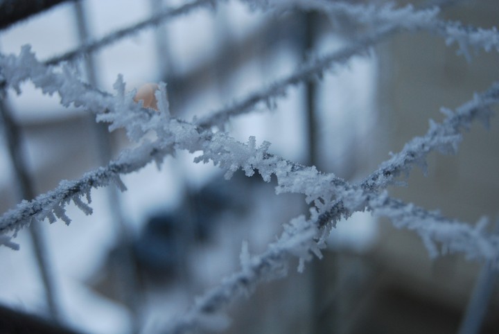 snow