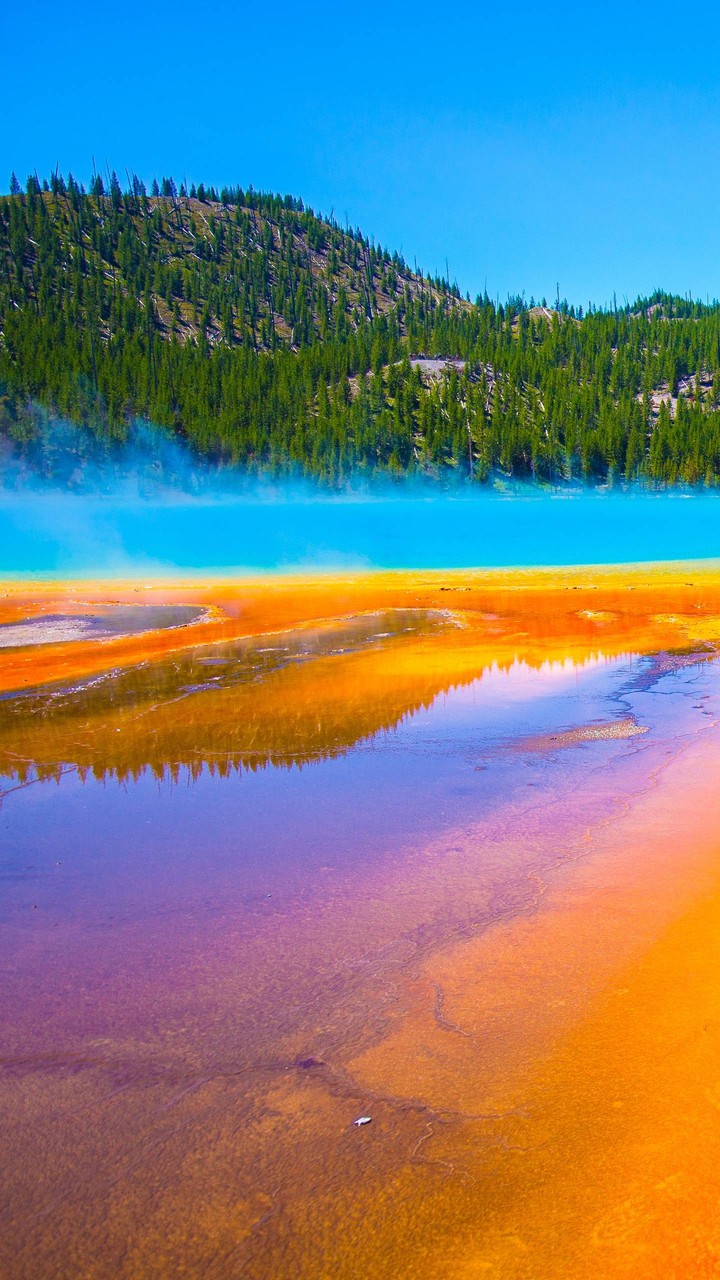 colours wow