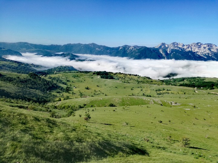 fog