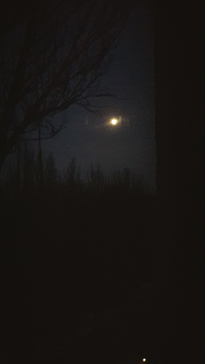 Moon