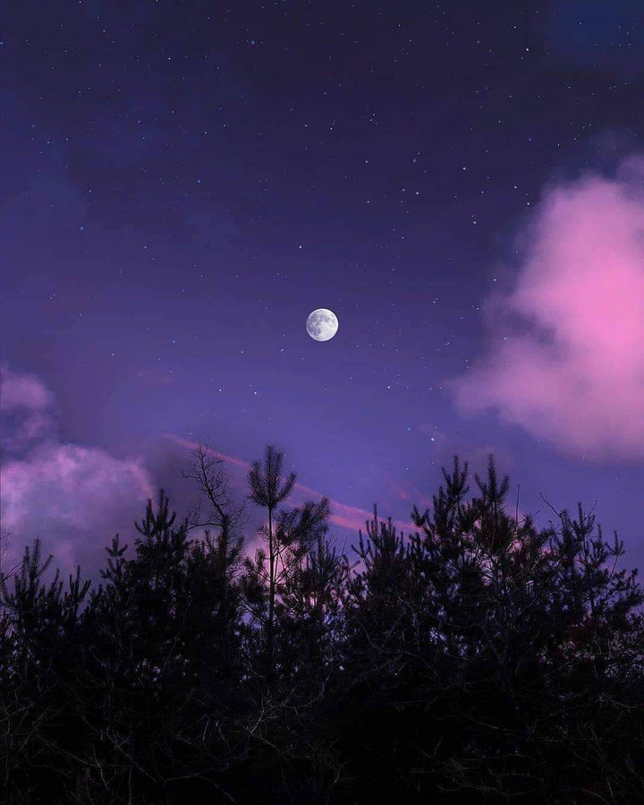 Purple Sky ♥️