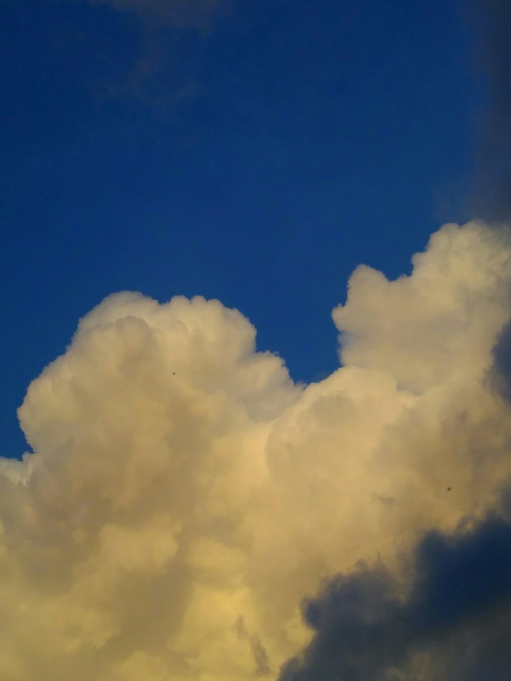 ☁⛅
