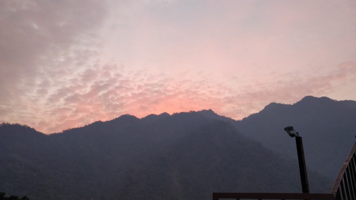 morning