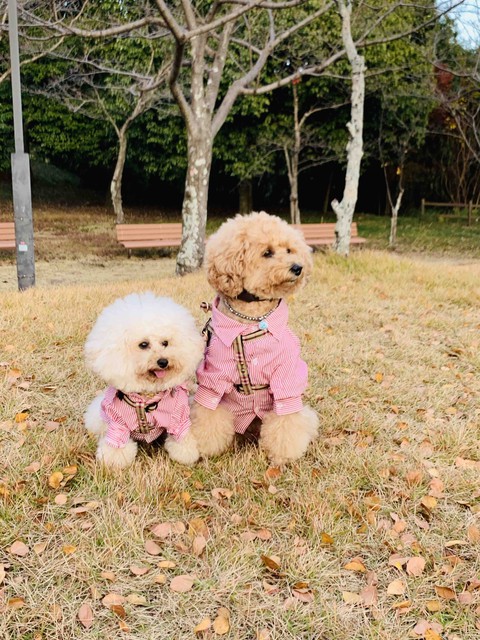 Lucky & Money