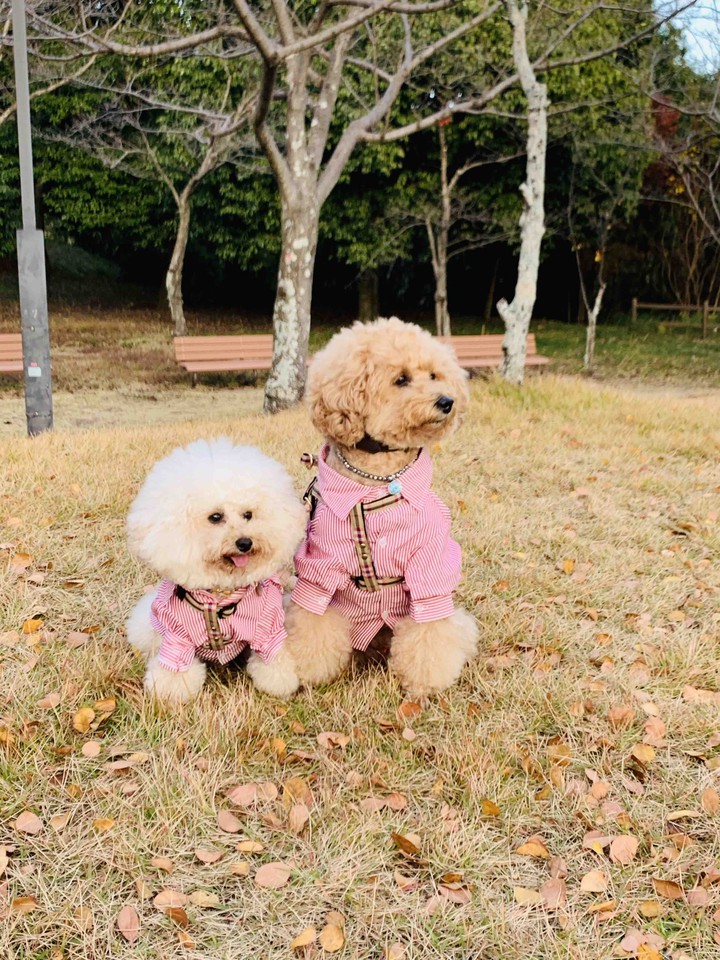 Lucky & Money