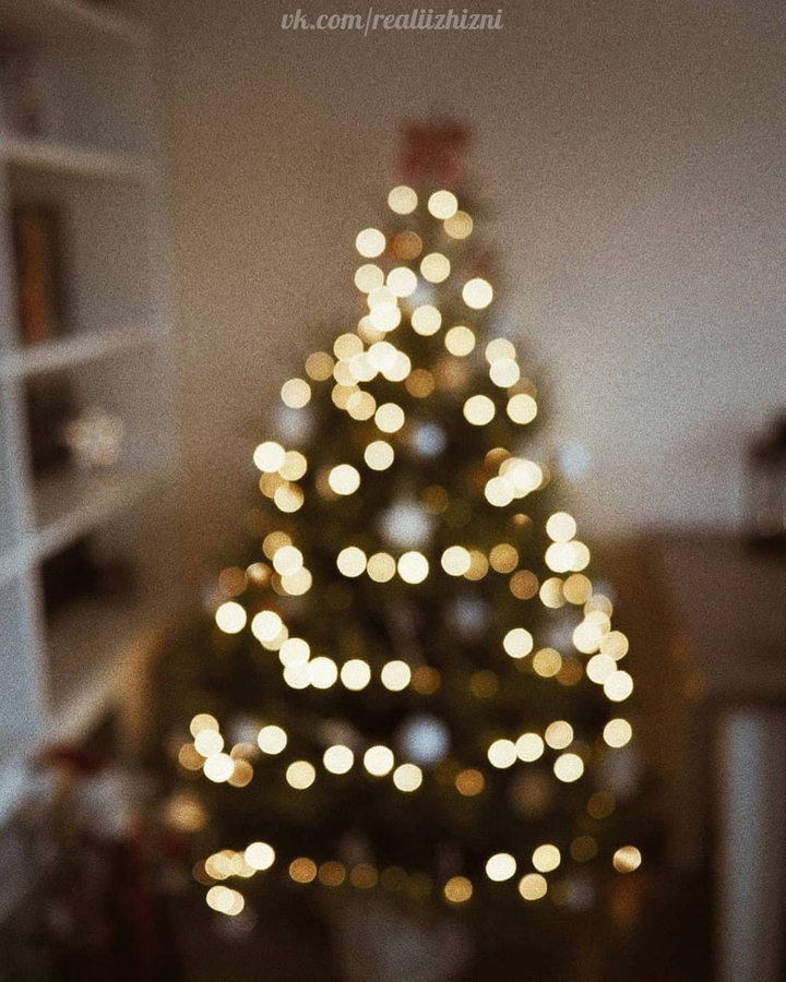 зима ❄
