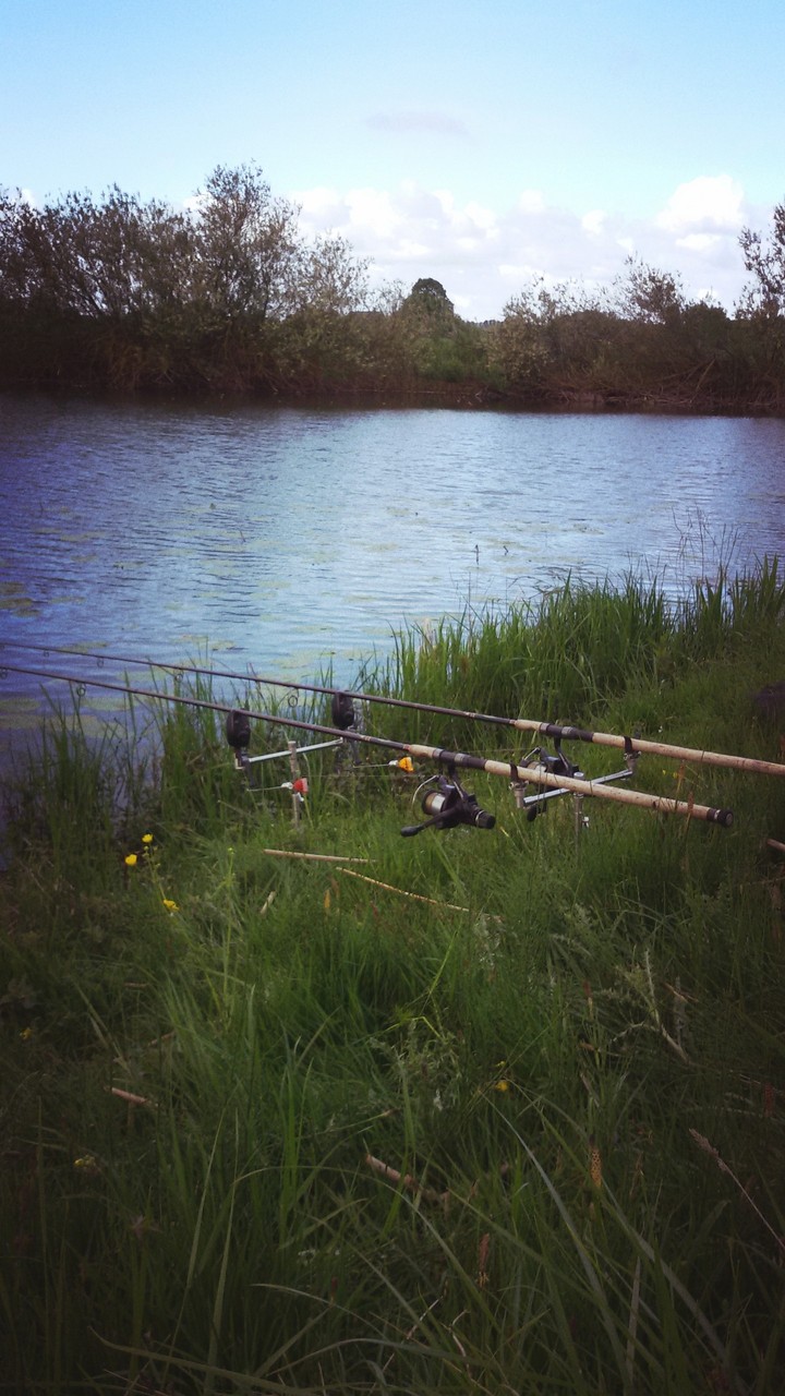 carp fishing