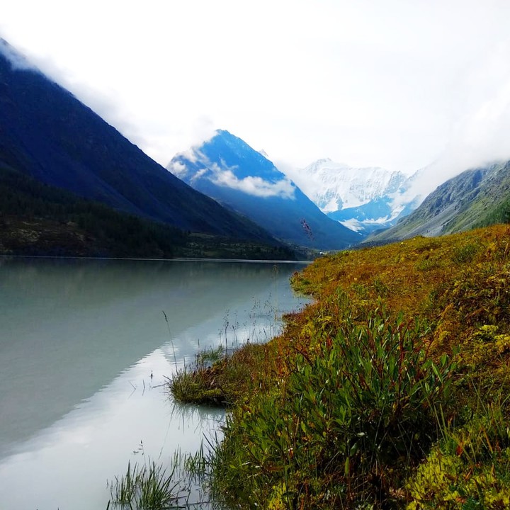 Altai