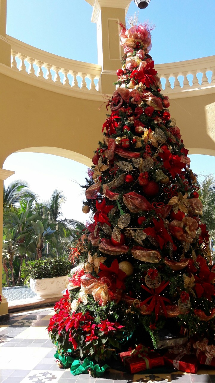 Christmas Tree at Emerald Bay Resort. Mazatlan, Mexico.