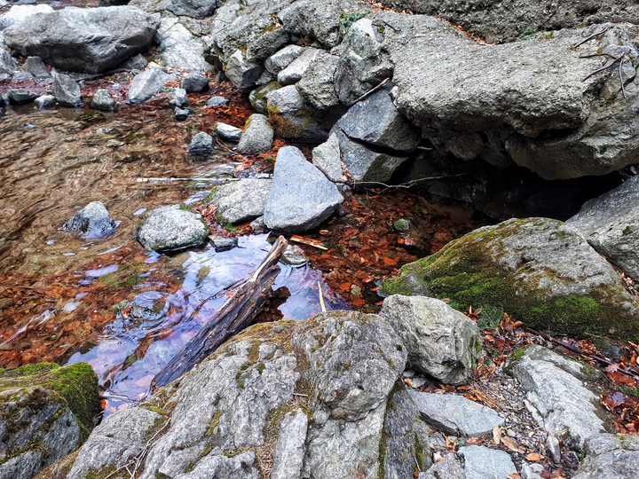 Water with color