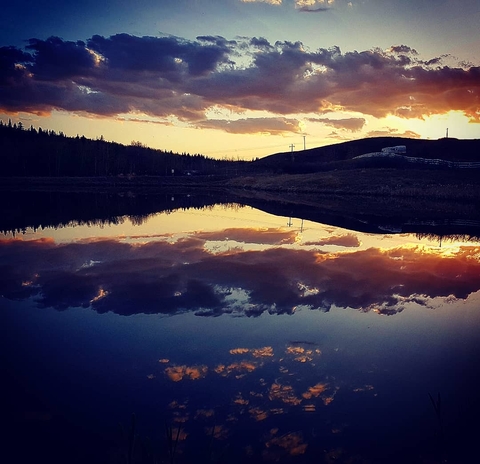 Reflection.