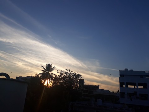 nature
