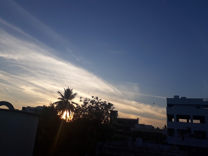 nature