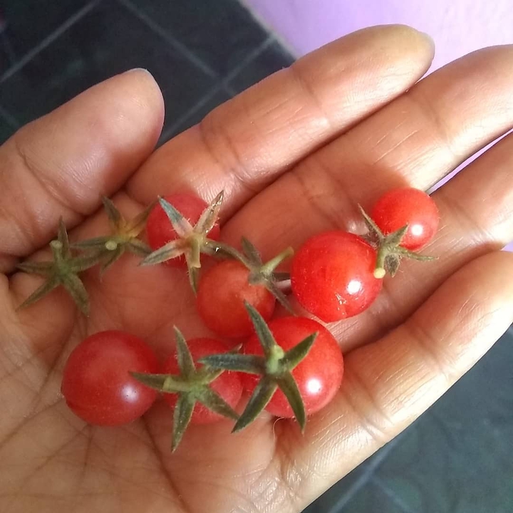 pequeños