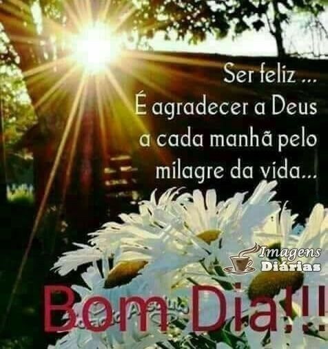 Bom dia para você amizade boa.