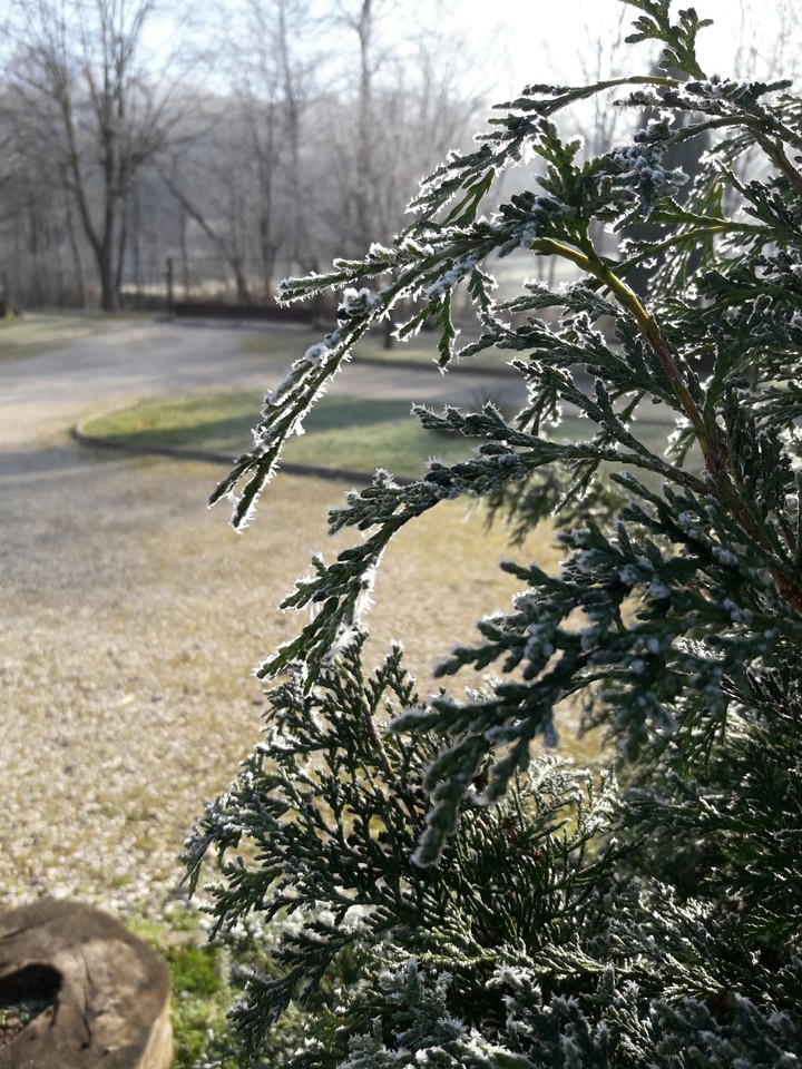 December