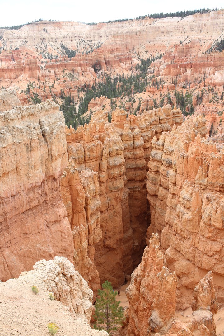 canyon