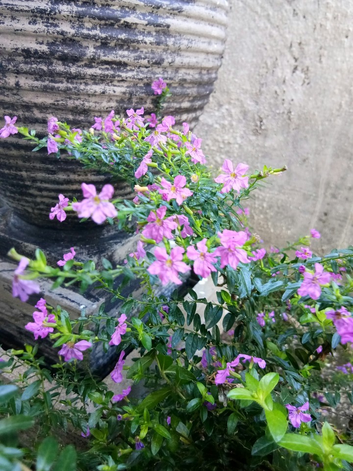 Beautiful