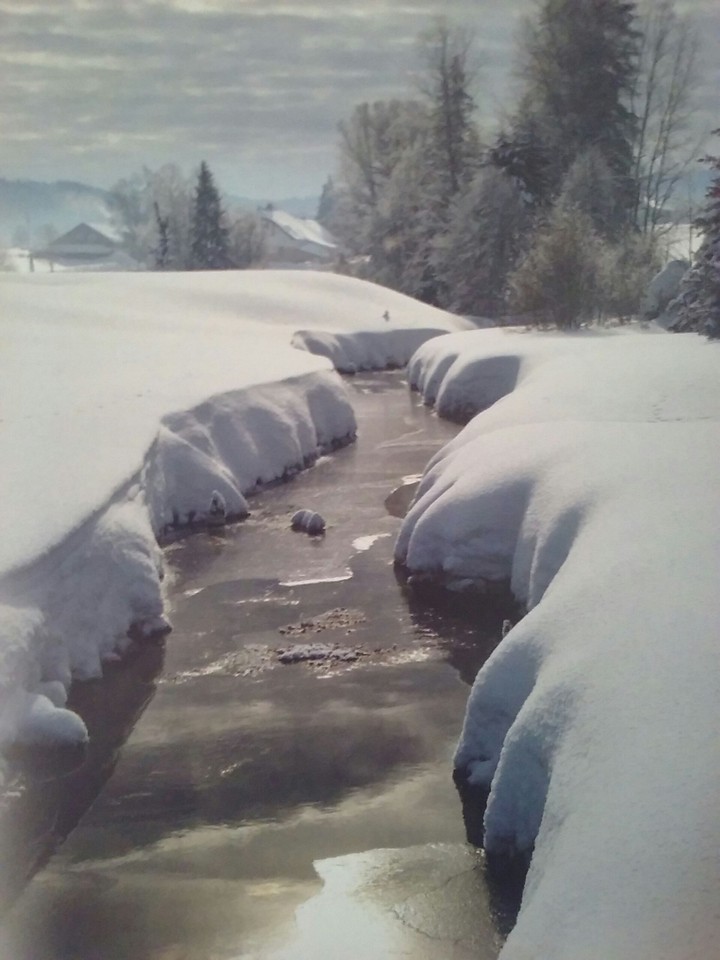 Šumava