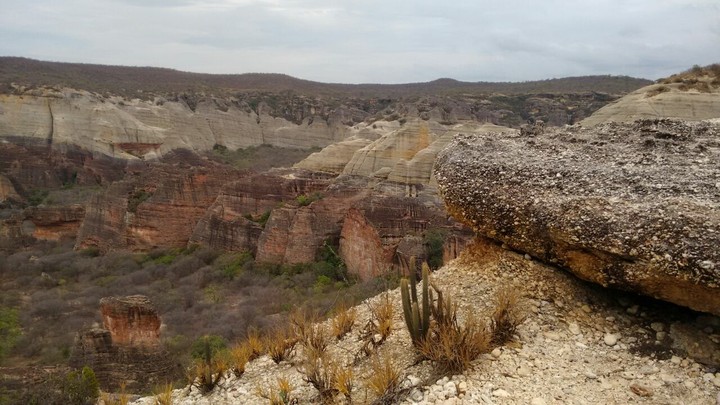 Piauí ❤
