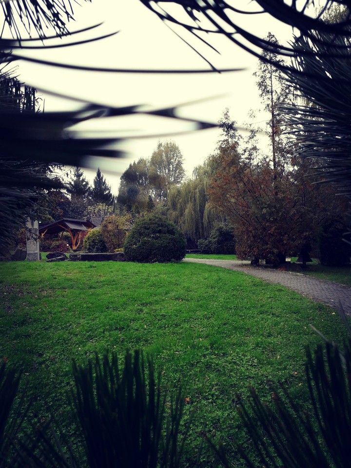 walk