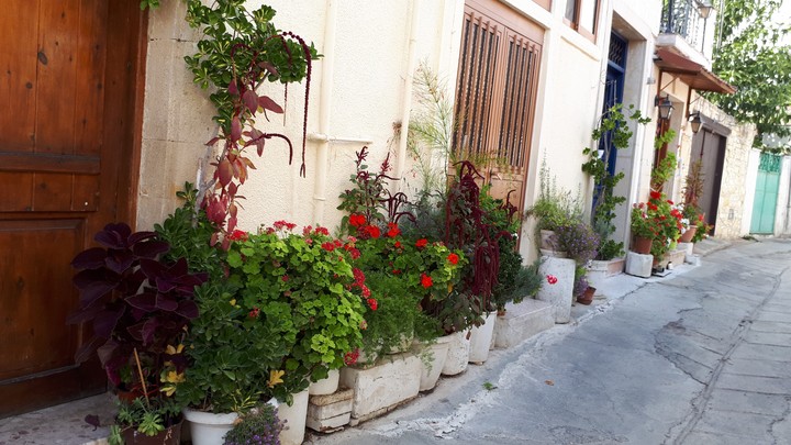 cyprus