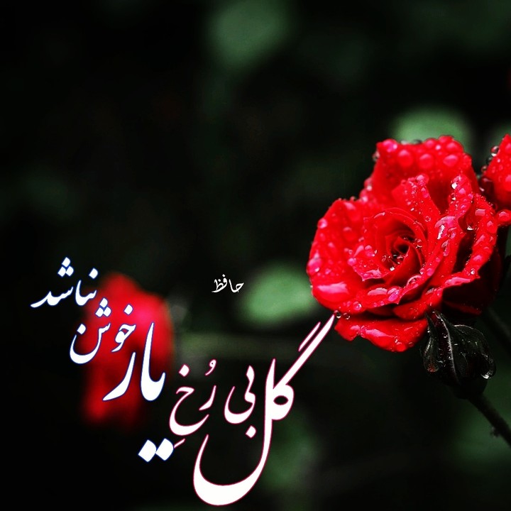 گل بی رخ یار خوش نباشد _ حافظ