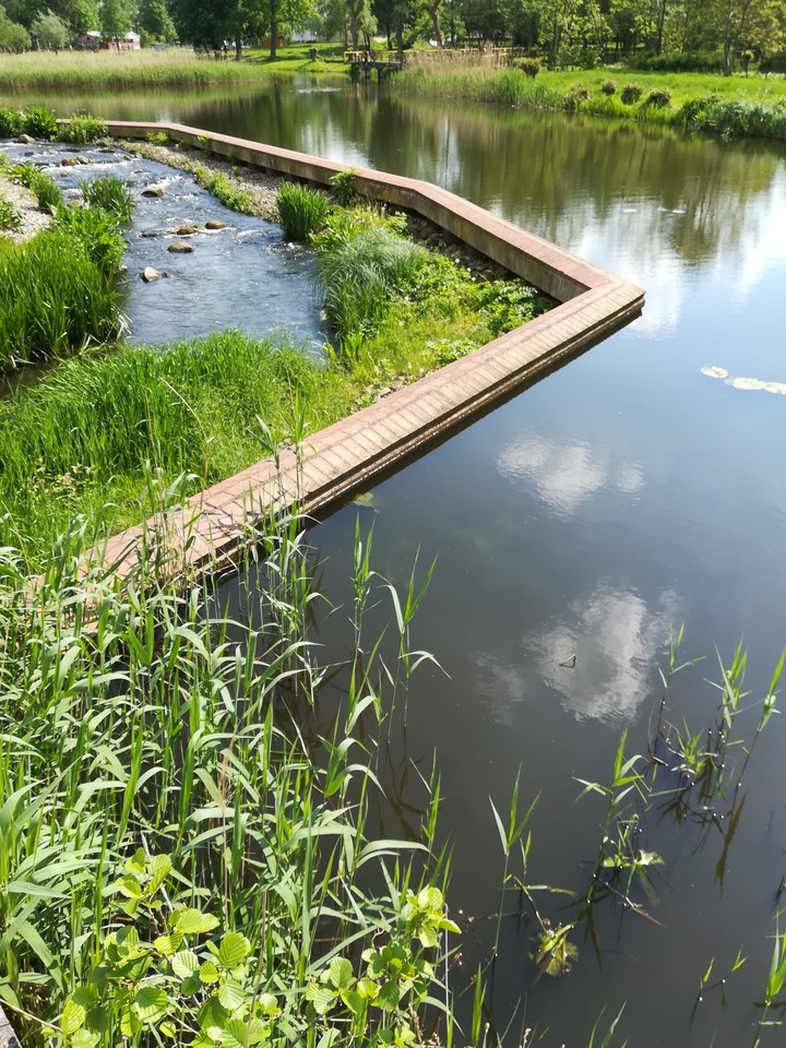 Pond 