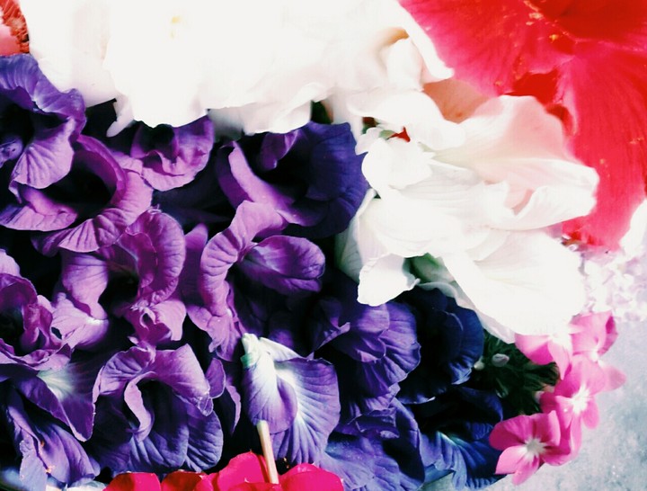 violet