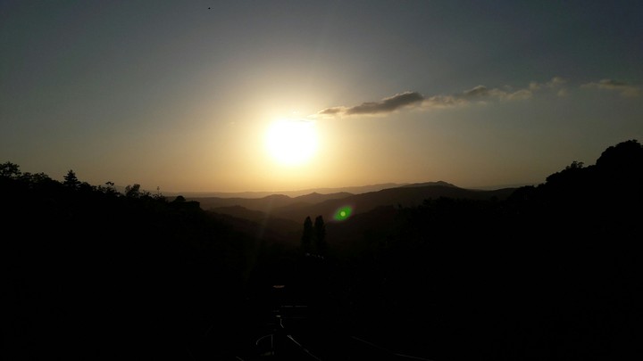 sole