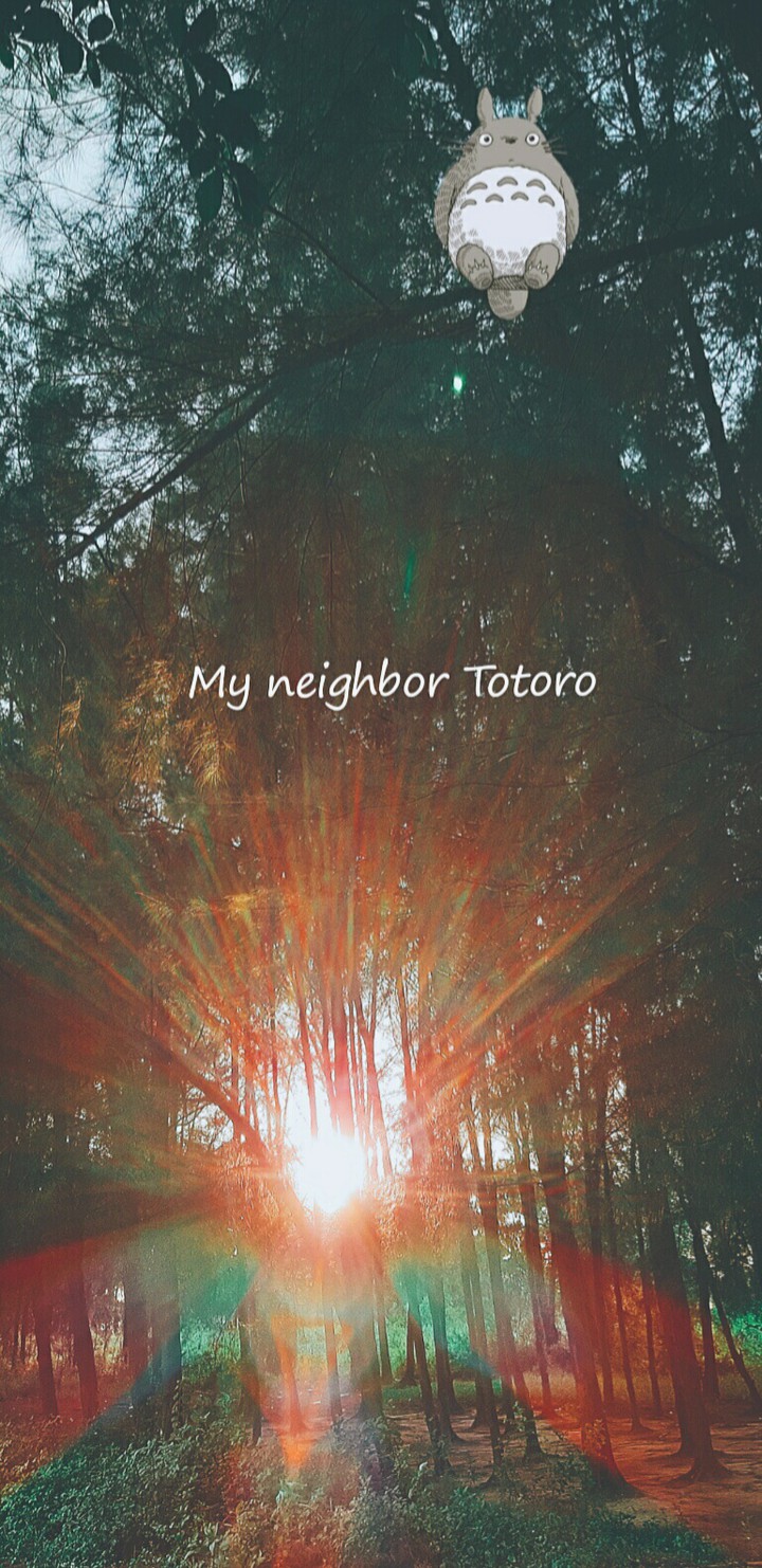 album my neighbor totoro