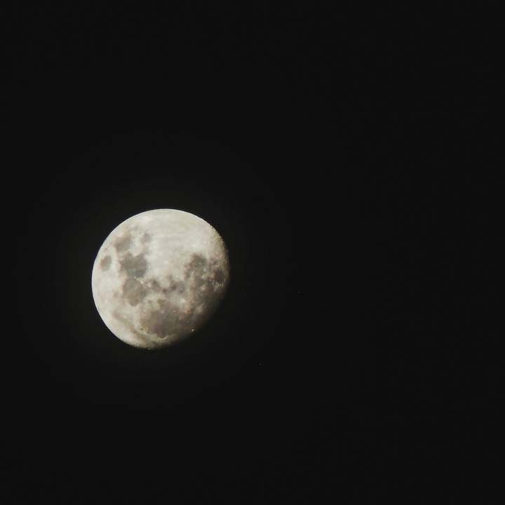 lua