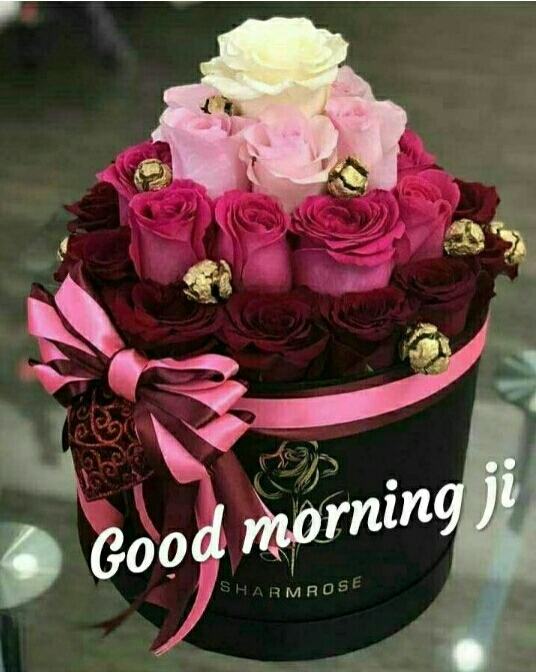 gm ji
