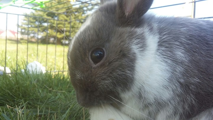 My little sweetie 