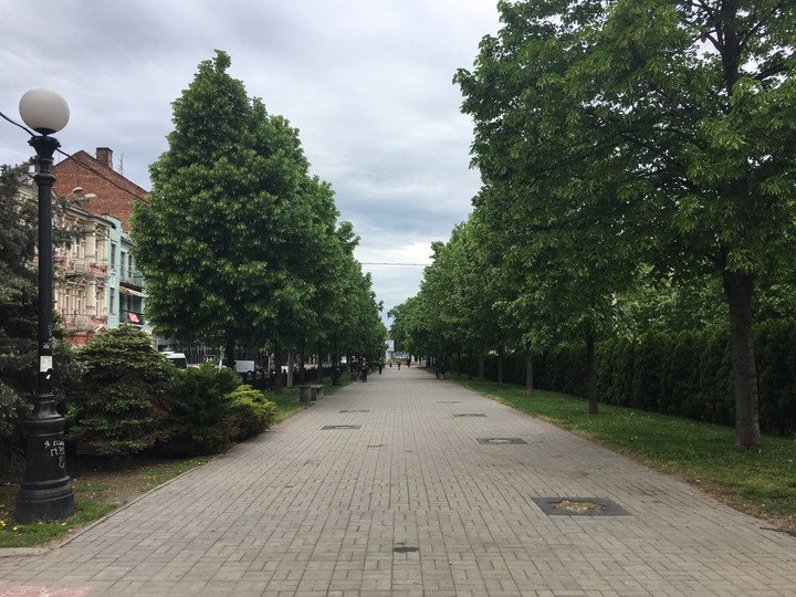Beautiful avenue