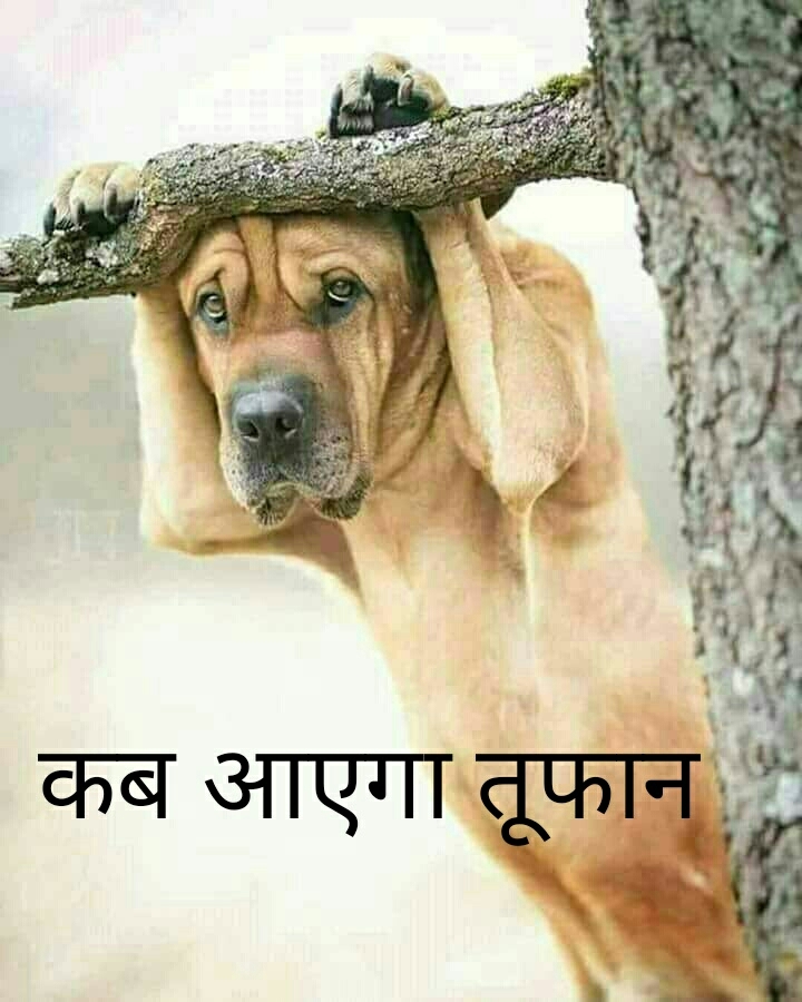 rinku singh