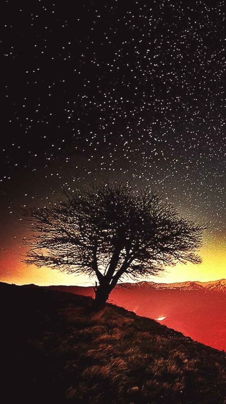 gece