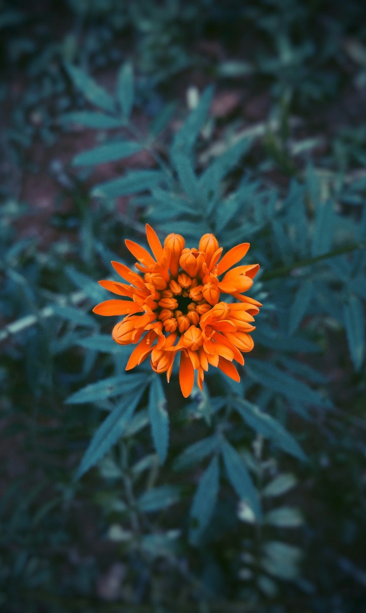 be beautiful...shine...even when you're lonely....