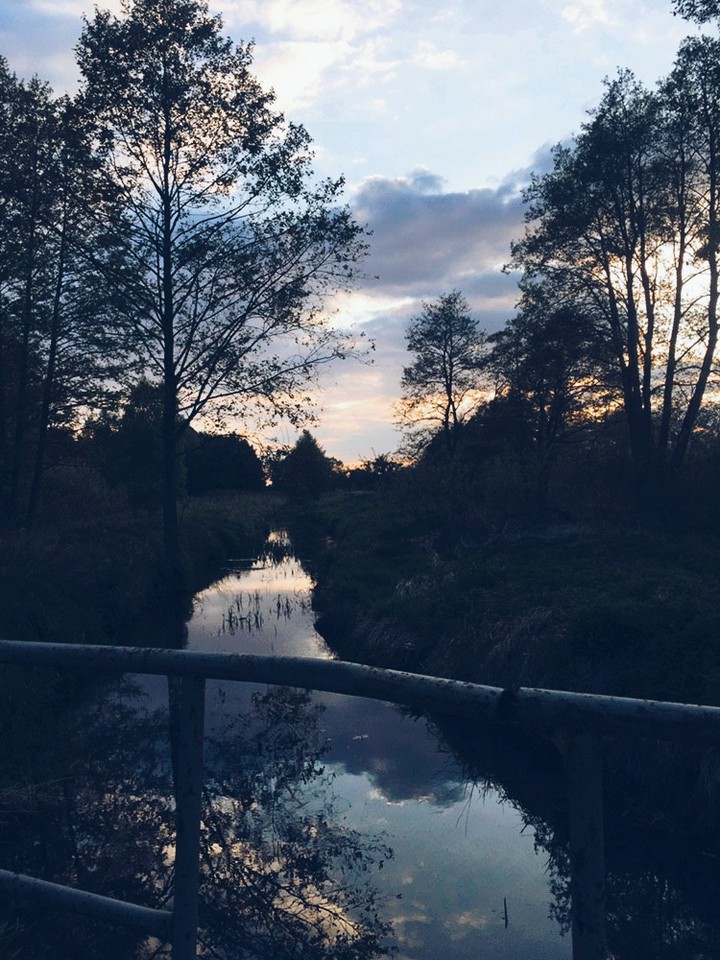 nature