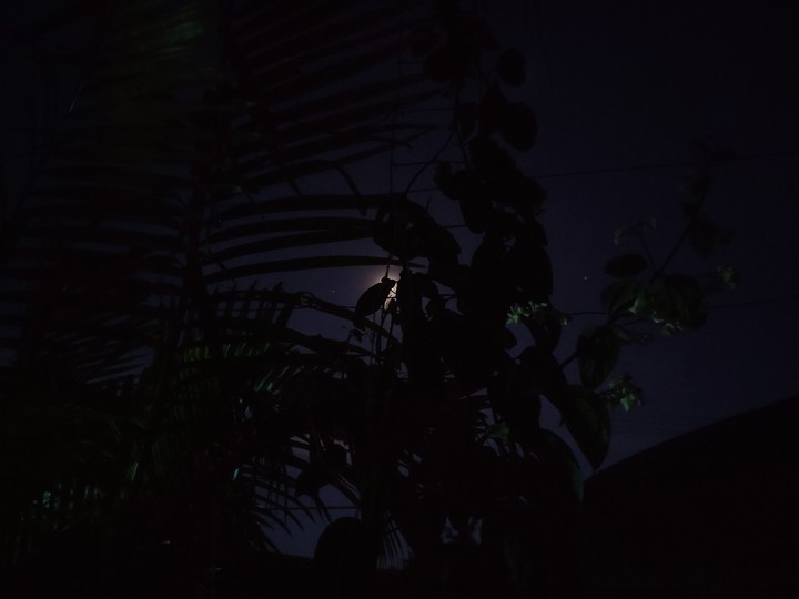 night