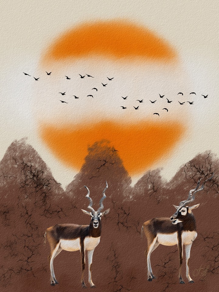 #nice_art