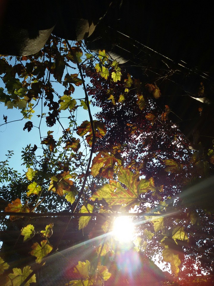 Summer
