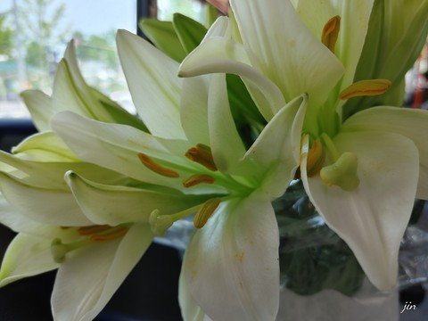 pedicel, perfume Hintergrundbilder