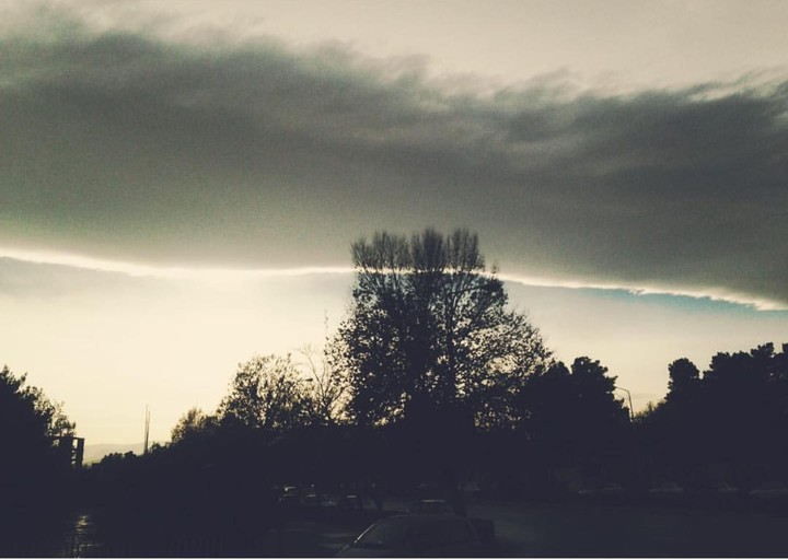 Dark Tree